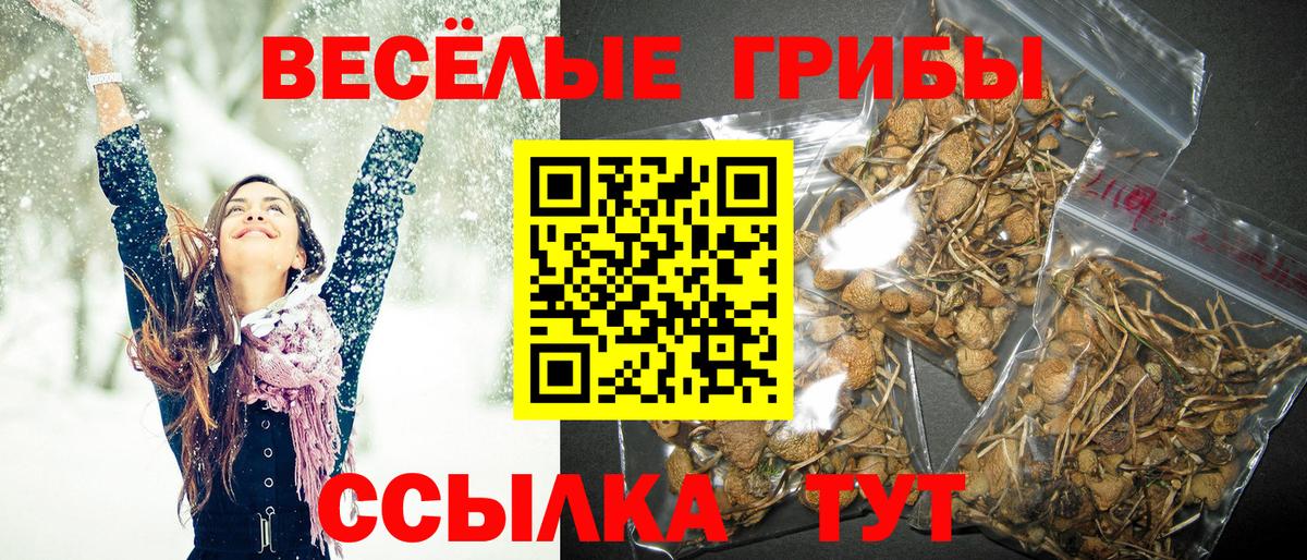 Ижевск  Галлюциногенные грибы Psilocybe  Вход с VPN  Псилоцибиновые грибы Psilocybine cubensis 